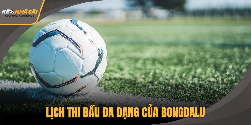 Lịch thi đấu đa dạng của Bongdalu